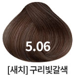 5.06 새치를위한 구리빛황갈색