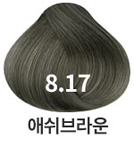 8.17 애쉬브라운